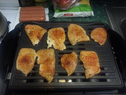 Great grill, but a bit small