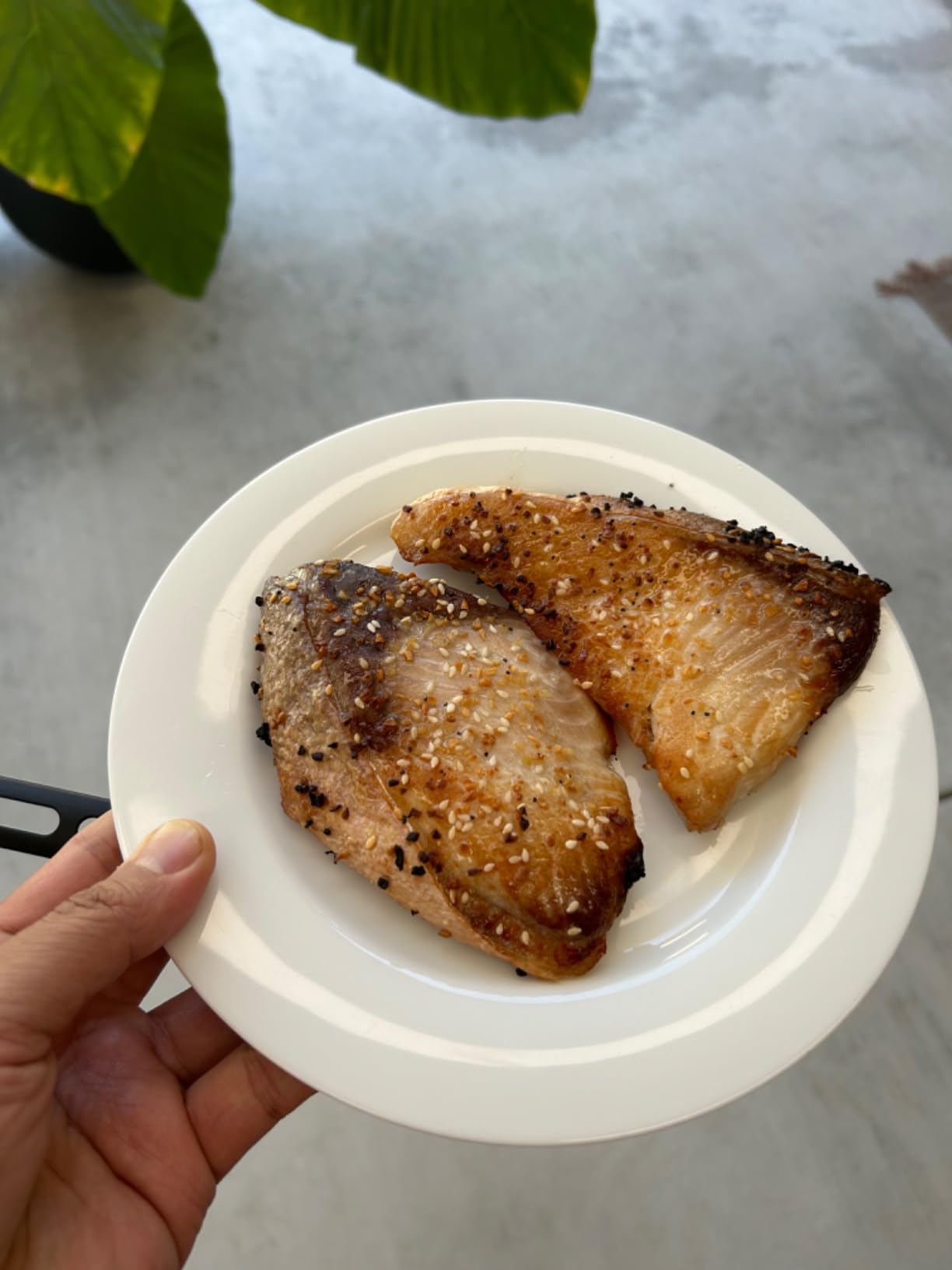 Best smoke-free grill I've owned