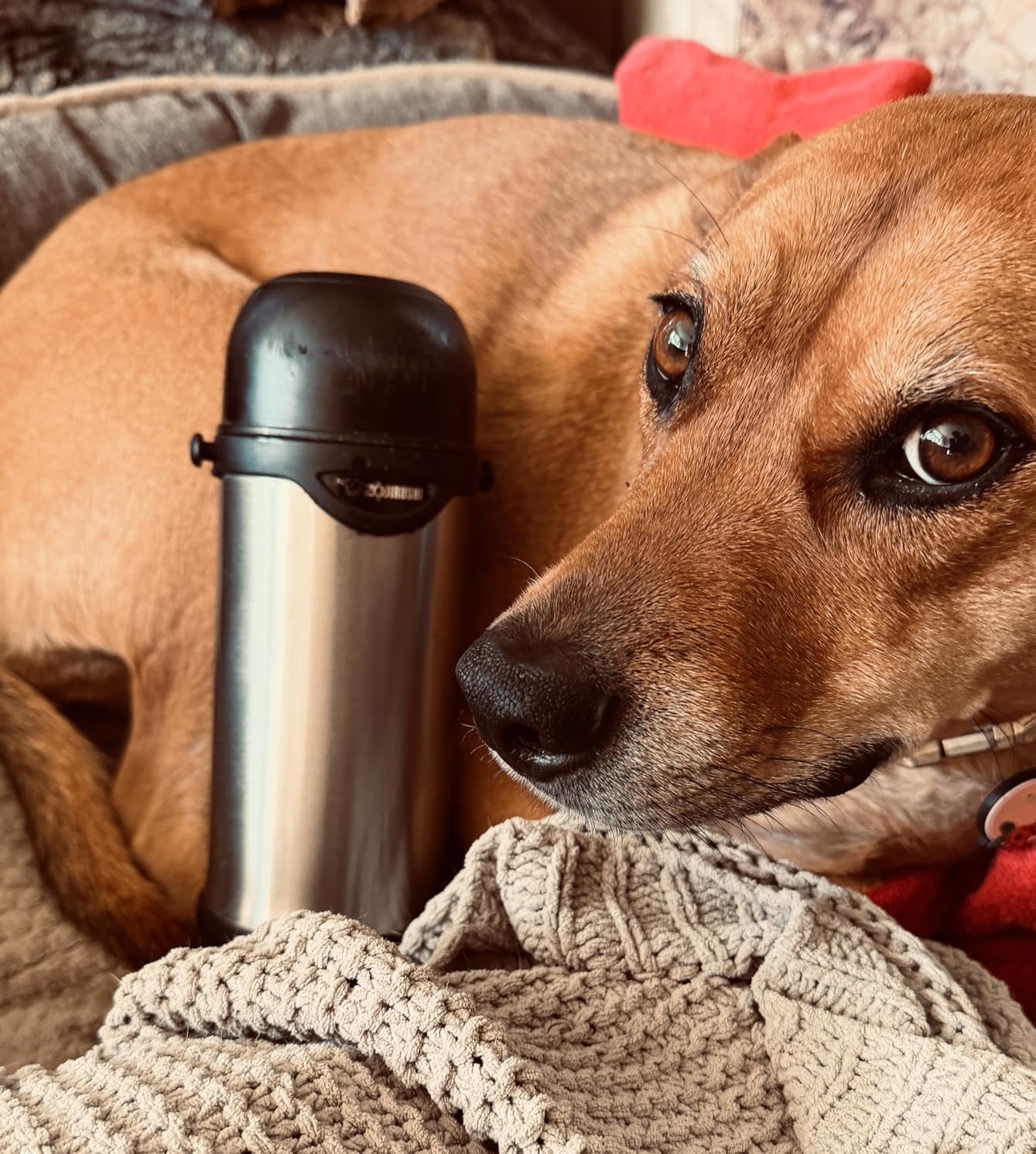 Keeps water ice cold