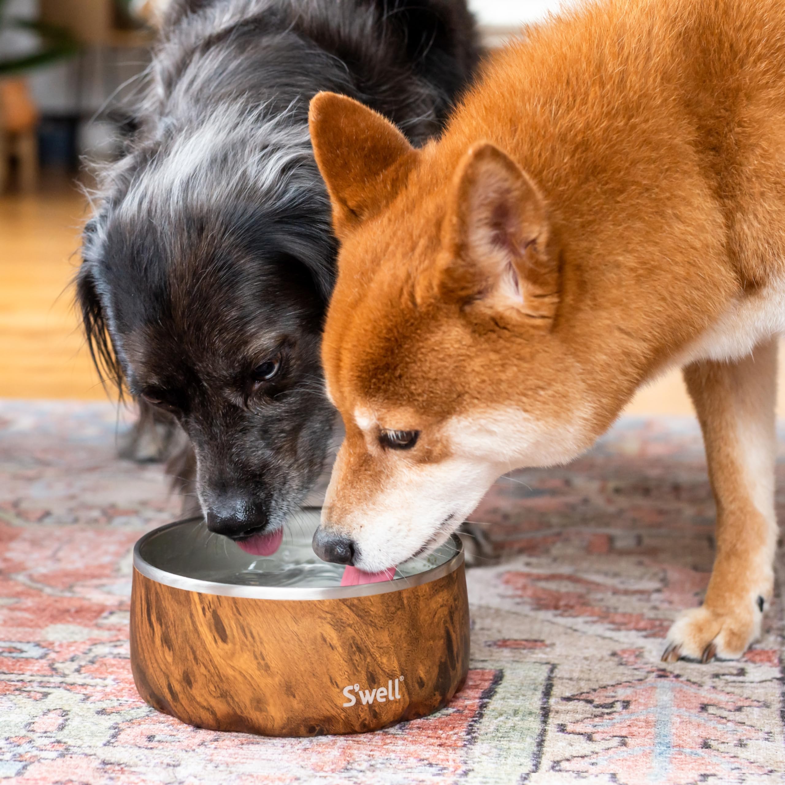 s-well-stainless-steel-pet-bowl-32oz-teakwood-non-slip-dishwasher-safe-for-small image 5