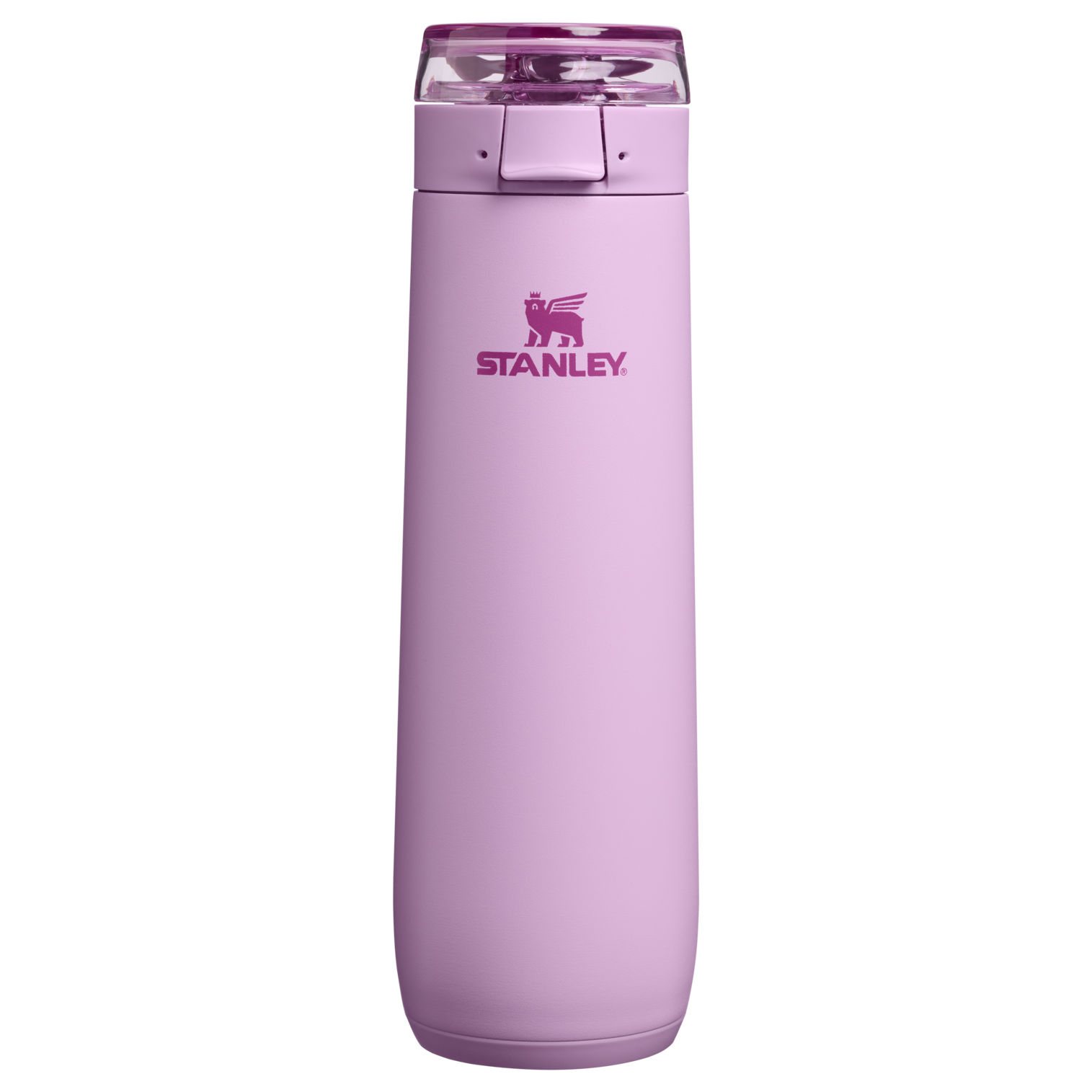 stanley-1913-flowstate-spring-bottle-20-oz-with-leakproof-locking-lid image 3